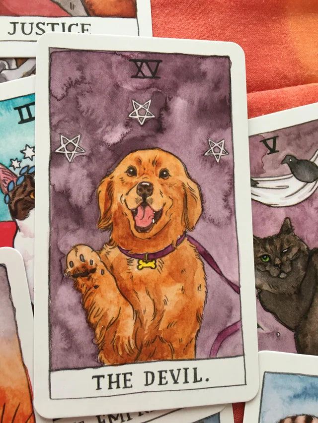 Set Tarot cu Pisici – 78 Cărți de Tarot  | Tarot Clasic cu Ilustrații Profunde & Amuzante